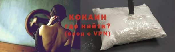 спиды Армянск