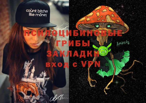 spice Арсеньев