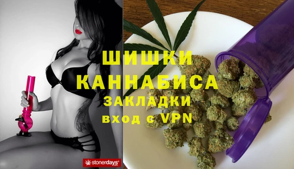 spice Арсеньев