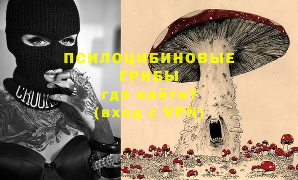 spice Арсеньев